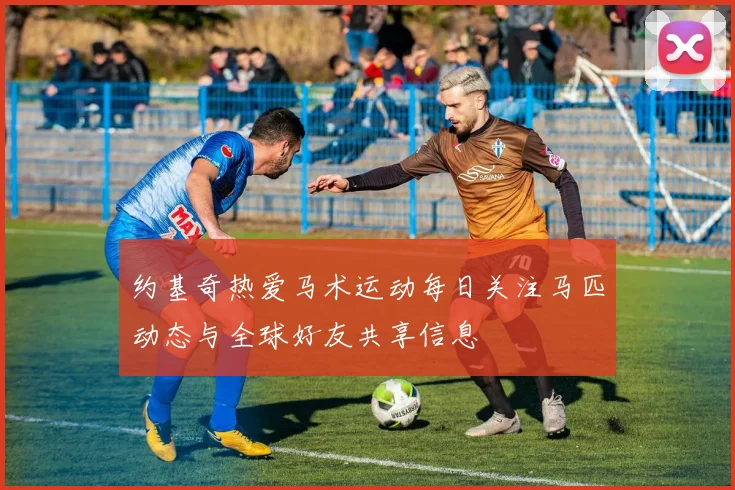约基奇热爱马术运动每日关注马匹动态与全球好友共享信息