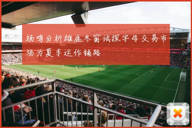 杨鸣分析雄鹿冬窗试探字母交易市场为夏季运作铺路
