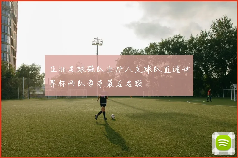 亚洲足球强队出炉八支球队直通世界杯两队争夺最后名额