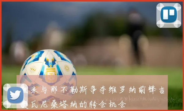 国米与那不勒斯争夺维罗纳前锋吉奥瓦尼桑塔纳的转会机会