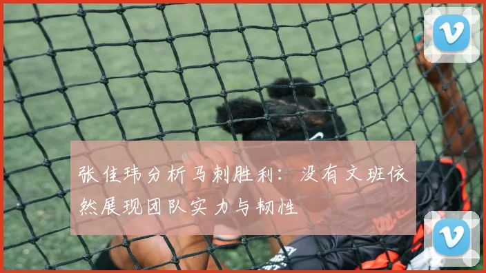 张佳玮分析马刺胜利：没有文班依然展现团队实力与韧性