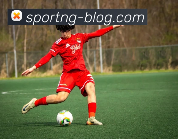 南宫体育发展历程